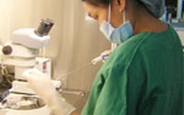 Hiếm muộn đâu chỉ bởi tại em!